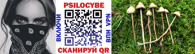 как найти закладки  Волчанск  Псилоцибиновые грибы GOLDEN TEACHER 